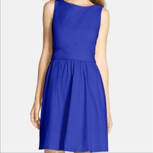Eliza J A-line Blue Cotton Dress